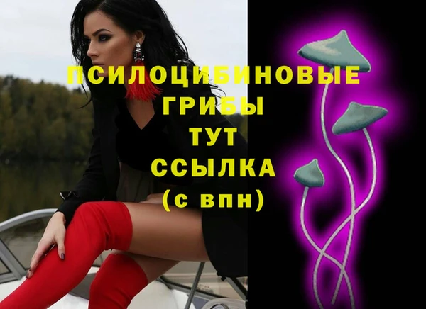 прущий лед Гусь-Хрустальный