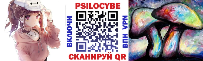 Галлюциногенные грибы Psilocybine cubensis  где продают   Старый Оскол 